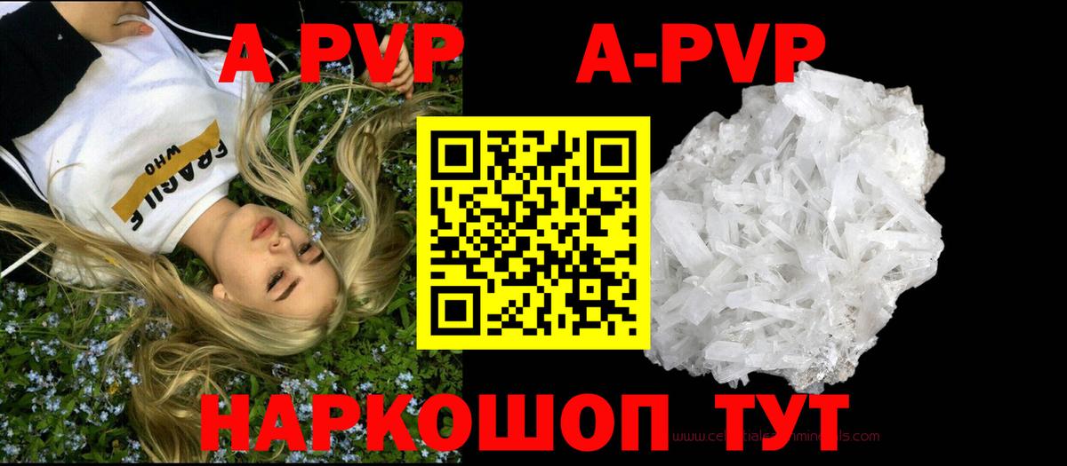 Кореновск  A PVP СК  Alfa_PVP СК КРИС  Альфа ПВП Соль  Вход с VPN 