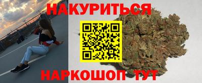 не бодяженный Гай